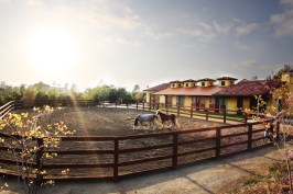 Skyridge+Barn+and+Stables