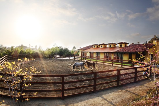 Skyridge+Barn+and+Stables