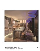 Penthouse+Kitchen