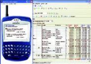 ON THE FLY: Supers can view and update Builder MT schedule information and run checklists on a Blackberry.
