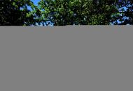 bd051001196bh1.jpgClick for larger image.