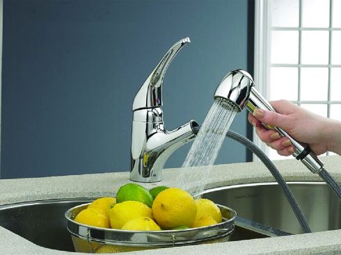 Self-Reliant: The manufacturer’s luxury brand carries faucets costing in the high hundreds, but this Reliant+ kitchen unit costs less than $200. It has a pullout spout to make kitchen tasks easy, highly reliable ceramic disc valves, and a nylon hose for quiet pullout function. Available in five finishes, it also features the company’s EverClean finish. American Standard. 800-442-1902. www.americanstandard-us.com.