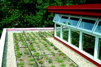 Homes with flat roofs are a natural for green roof installations, whether built in place or modular, such as the GreenGrid DIY Kit from Weston Solutions shown here.