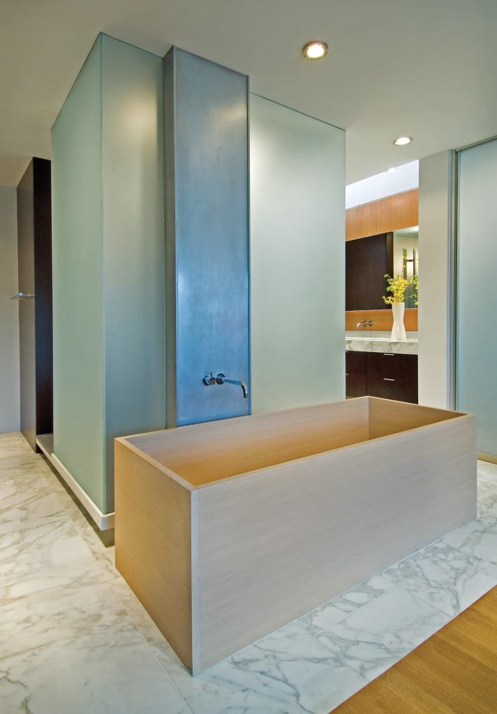 Frosted glass boxes, flanking a step-up passageway, enclose a shower and toilet compartment.