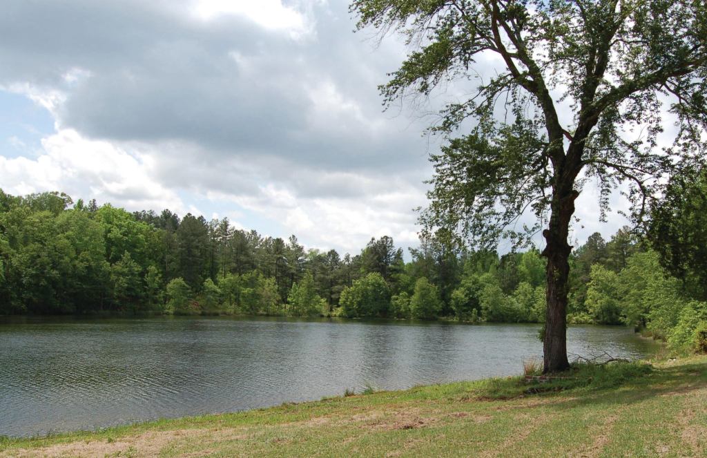 ZERO-ENERGY GOAL: A handful of homes (so far) are being designed for The Ridge at Chukkar Creek with a net-zero energy goal thanks to an innovative solar-and-hydrogen fuel cell solution.