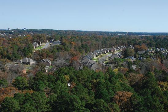 TREE-LINED: In addition to following the site's natural topography and preserving existing trees, Rocket Properties has also planted more than 3,000 native trees at Woodland's Edge to enhance its park-like setting.