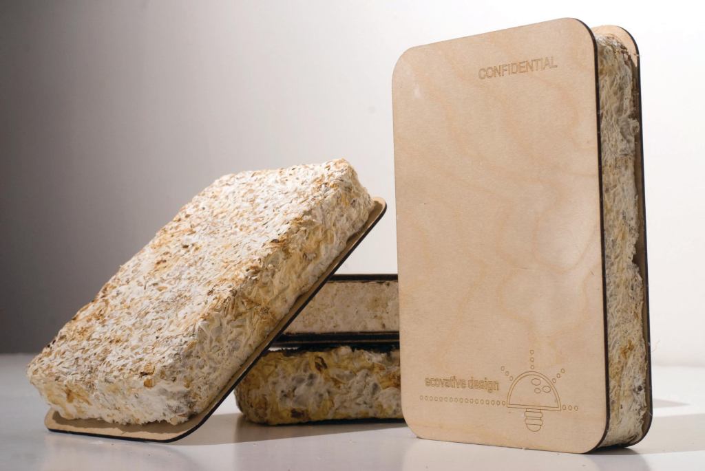 Out of the Woods Greensulate insulation 

board is “grown” from mycelium-injected 

agricultural waste.