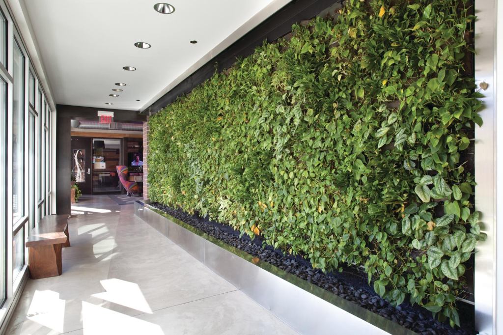 Living wall systems, like this one in a Minneapolis apartment building, are growing in popularity.