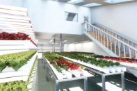 Plant Life A 1,200-square-foot basement in the Phototronic Living Home can be set up as a greenhouse, with living quarters above.