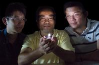 Zhengwei Pan and colleagues view the world's first single-phosphor, single-emitting-center-converted LED that emits warm white light.