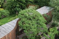 Driven by a mandate to preserve an old-growth sumac tree in the rear garden, the architects created a curved reclaimed timber-clad addition that left the root structure undisturbed.