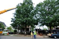 Workers watch as a shipping container is lowered onto its foundations at 3307 7th Street NE, Washington, D.C.