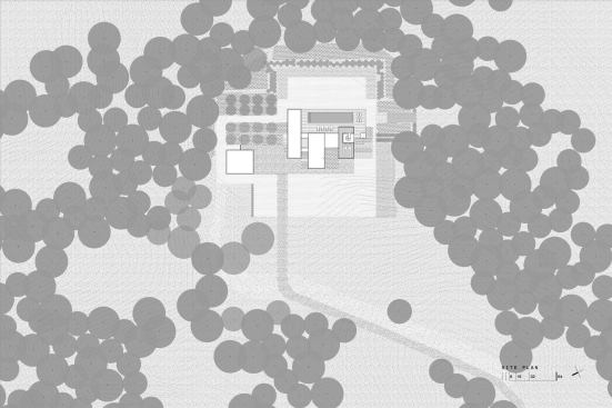 The site plan