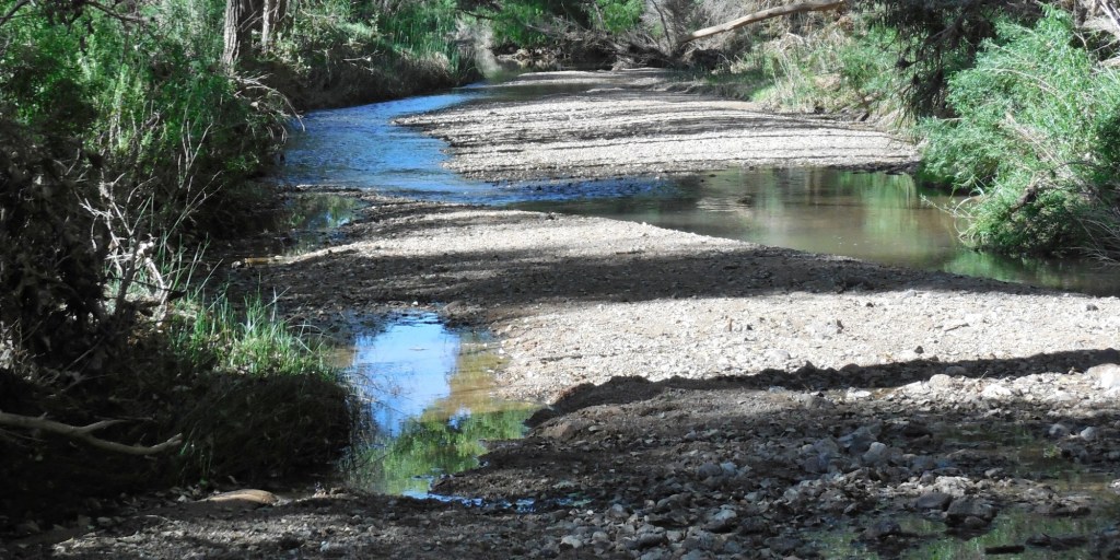 San Pedro River Downstream near San Pedro House