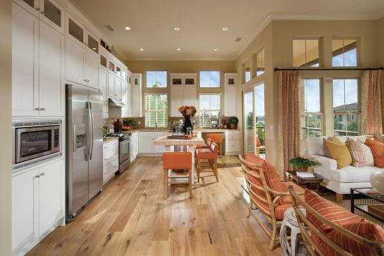 Grand, Multi-Family Housing Project - Under 18 du/acre (For Sale or Rent). Builder: Irvine Pacific. Architect: Bassenian Lagoni.

Designed for young couples and new professionals, these Irvine, Calif., homes expand livable space with front porches and side courtyards.