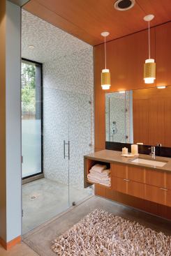 Ellis Residence

Bainbridge Island, Wash. 