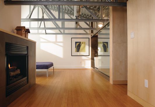 Loft Conversion, Washington, D.C.