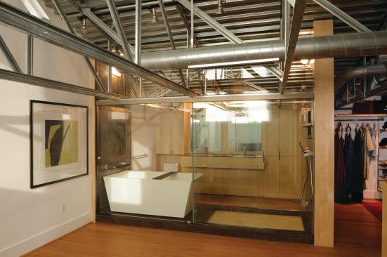 Loft Conversion, Washington, D.C.