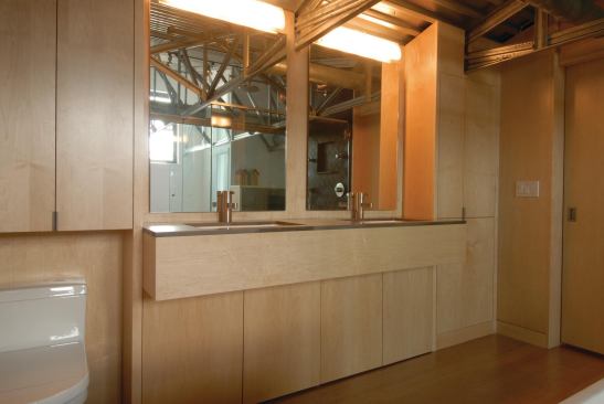 Loft Conversion, Washington, D.C.