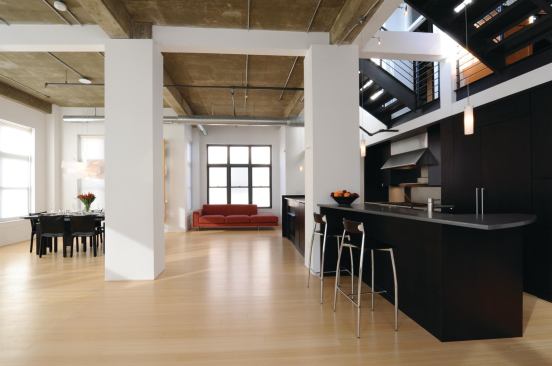 Loft Conversion, Washington, D.C.