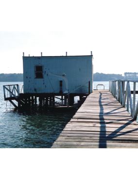 Historic Vaucluse, Machipongo, Va.