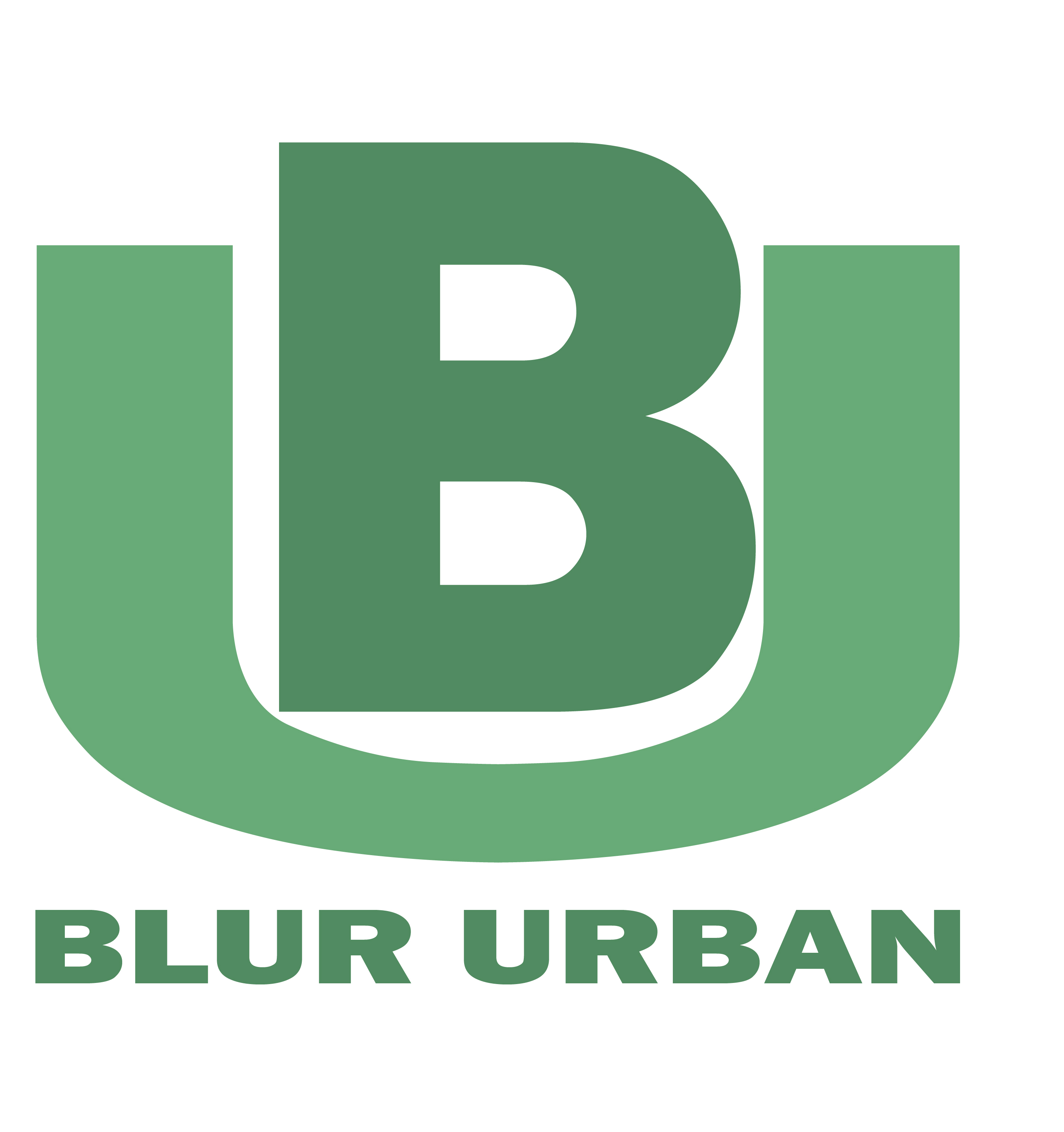 BLUR URBAN LLC