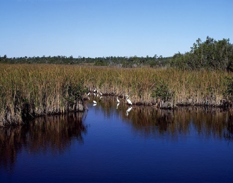 New EPA rules designed to protect America's waterways might make it more difficult for home builders to obtain permits.