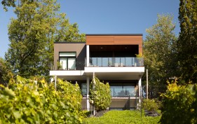 Rear | Urban Vineyard