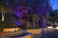 BlissBulbs projecting onto trees in a landscape setting.