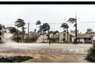 Irma flooded Las Olas Boulevard in Fort Lauderdale, but left little damage in its wake.