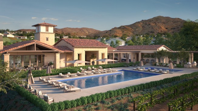 Artist concepts of Terramor are courtesy of Foremost Companies.