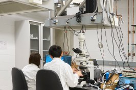 Dr. Serra Lab, Johns Hopkins University