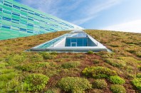 A Denver initiative on the November ballot would require builders to install “green roofs” on all new, large buildings throughout the city, as well as existing buildings undergoing roof replacements.