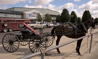 Hitching posts for Keim's Amish and Mennonite customers.