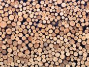 Cut lumber for processing
