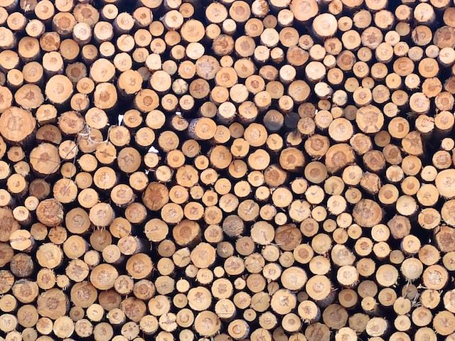 Cut lumber for processing