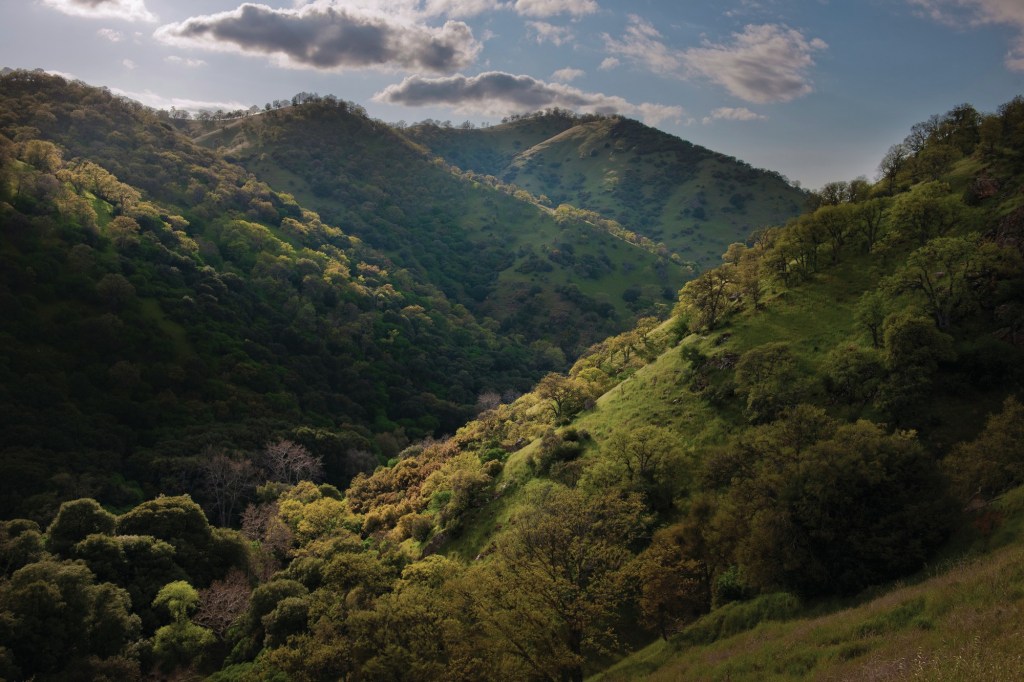 Surrounding Landscape at Tejon Ranch