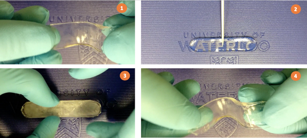 (1) Sal-gel in its first, melted state, is soft and transparent. (2) Secondary nucleation is initiated by touching the gel with salt crystals. (3) Sal-gel in its secondary, frozen state, is rigid and opaque. (4) The gel is heated at ~90 C to revert it to the initial melted state.