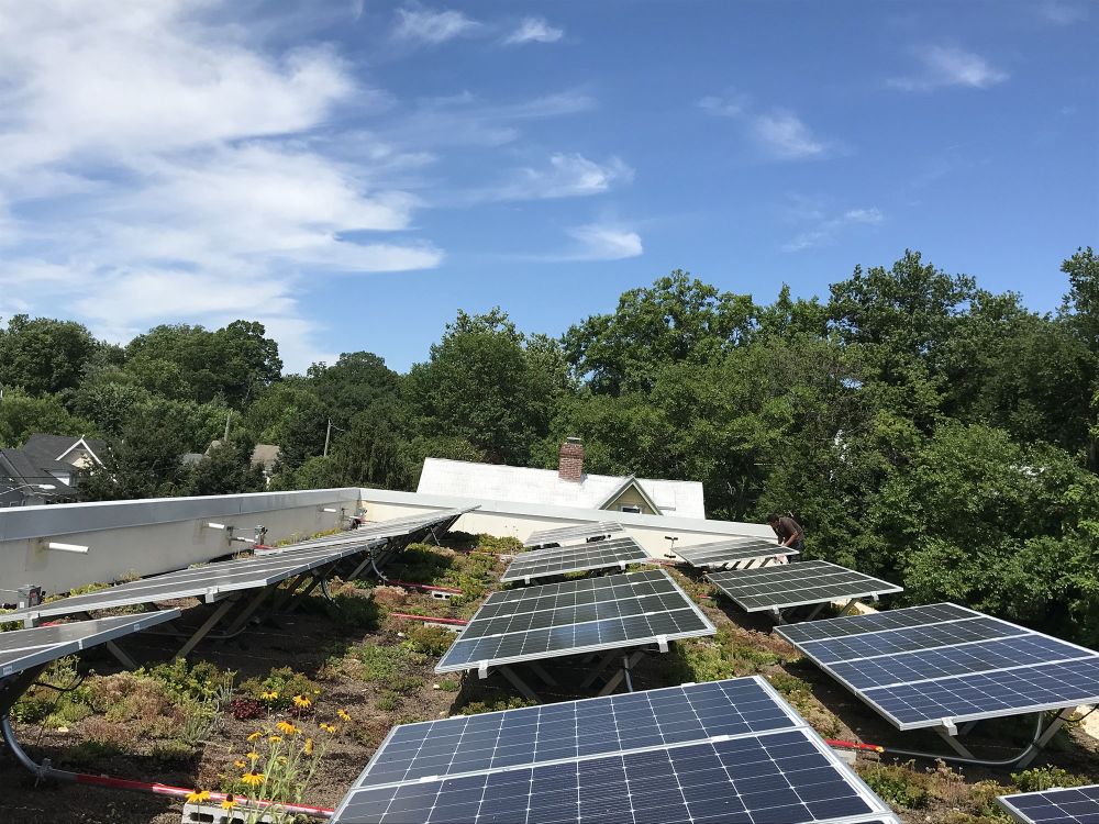 A view of the vegetated solar roof shows the four individual arrays, one for each townhome in the building.