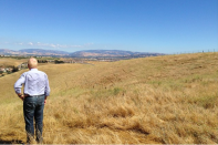 Trumark Companies co-CEO Michael Maples surveys Wallis Ranch, East Dublin, Calif., circa 2014.