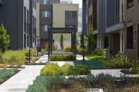 Drought-tolerant landscaping is a prominent feature at Lennar's Innovation Village in Fremont, California.