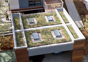 The Smart Home's green roof will help reduce heating and cooling loads, and will help reduce air and water pollution. The show house's GreenGrid modular green roof system comes pre-planted in 100% recyclable modules.