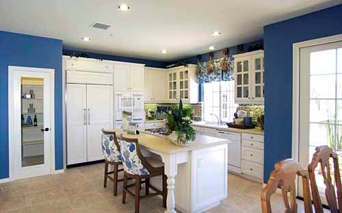 Ziani Brookfield Homes Newport Coast, California