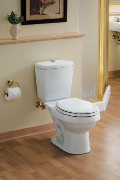 Sterling Plumbing  Priced from $278, the Karsten dual-flush toilet costs about the same as a standard single-flush unit. The Water Sense-certified product has a minimalist design, a round front, and flushes with 1.6 gallons for bulk waste or a water-saving .8 gallon for light needs. 
www.sterlingplumbing.com.