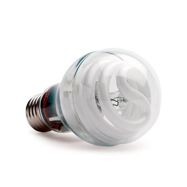 This 60-watt equivalent combines a halogen incandescent with a compact fluorescent lamp, eliminating that annoying lag in full brightness typical of many CFLs. As the CFL warms up and comes to full brightness, the halogen capsule inside goes out so the bulb performs mostly as a very efficient CFL. It draws 15 watts and produces light of 2500K, just as warm as a standard incandescent. GE says the bulb should last 8,000 hours, or more than seven years at three hours per day. The bulb is Energy Star–qualified and was named a 2012 Good Housekeeping Very Innovative Product. GE. 203-373-2211. 
www.ge.com.