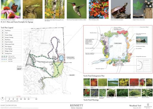Those five acres were cleaned up by removing all invasive species, planting native flora such as a field of wildflowers, opening up the forest canopy so heirloom trees can thrive, and adding mostly flat, gravel trails wide enough for wheelchairs, Kensett residents also enjoy a large pond with an interesting history of its own. ”We dredged this rectangular pond and discovered it was a foundation of an old homestead,” McGuinness says.