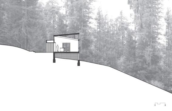 The project in section.