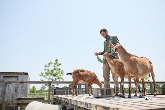 Agmenity’s farm educators can help developer clients operate farms, including goats.