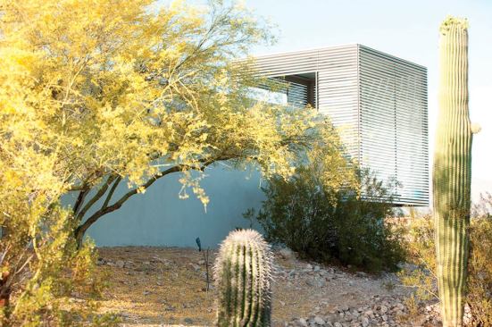 The desert landscape beyond the yard holds both beauty and danger.