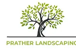Lexington Tree Service Experts